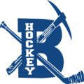 Bingham Hockey Club